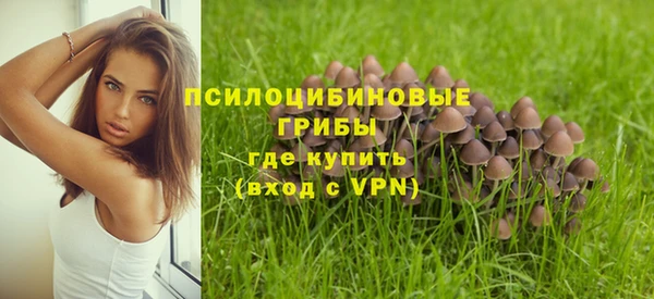 соль ск Арсеньев