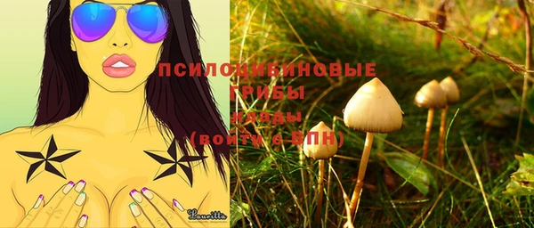 МДПВ Аркадак