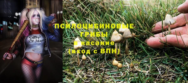 МДПВ Аркадак
