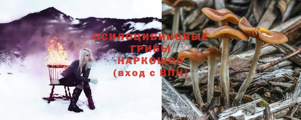 МДПВ Аркадак