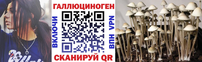 Галлюциногенные грибы MAGIC MUSHROOMS  KRAKEN ONION  Дзержинский 